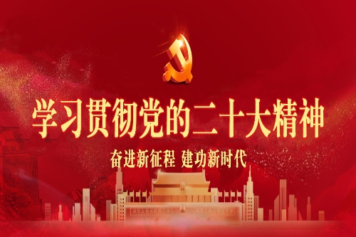 学习贯彻党的二十大精神专题网站