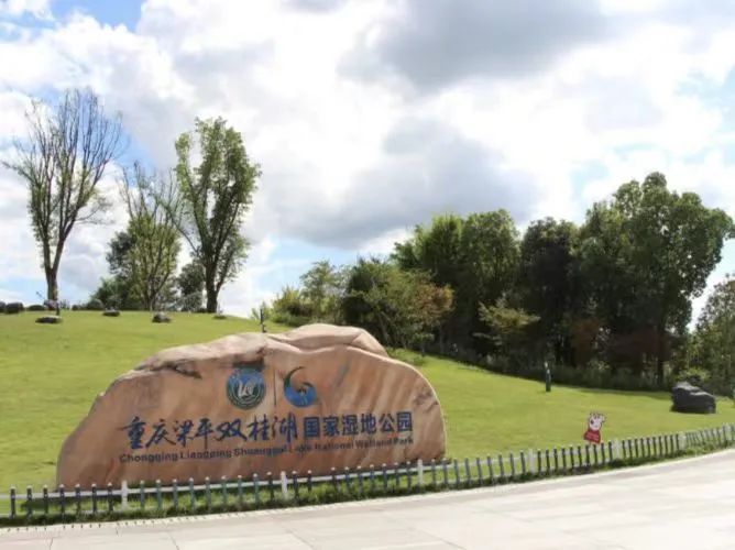 KICi_1689182836112089050.jpg